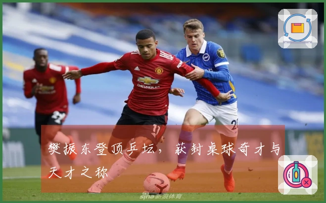 樊振东登顶乒坛，获封桌球奇才与天才之称
